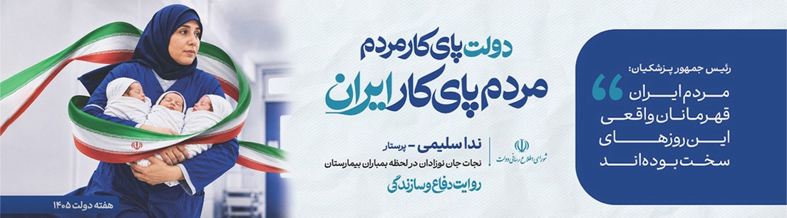 دولت پای کار